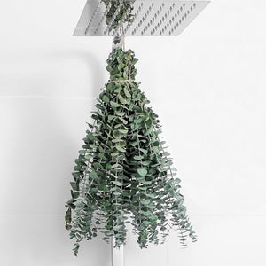10 Pcs Dried Eucalyptus Stems 17" Real Eucalyptus for Shower Hanging - 100% Made from Fresh Eucalyptus Stems, Bathroom Decor Home Decor Wedding, Home, Farmhouse, DIY Spring Decor