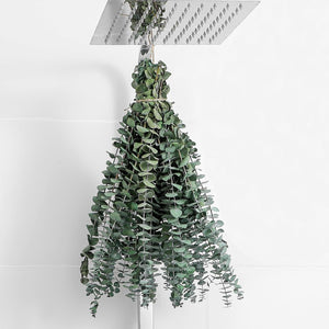 10 Pcs Dried Eucalyptus Stems 17" Real Eucalyptus for Shower Hanging - 100% Made from Fresh Eucalyptus Stems, Bathroom Decor Home Decor Wedding, Home, Farmhouse, DIY Spring Decor