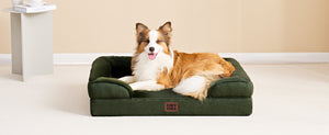EHEYCIGA Orthopedic Dog Beds Large Sized Dog, Waterproof Memory Foam Pet Bed with Sides, Non-Slip Bottom Large Pet Bed with Washable Removable Cover, Grey - Non-Slip Bottom and Egg-Crate Memory Foam XL Dog Couch Bed with Washable Removable Cover, Grey