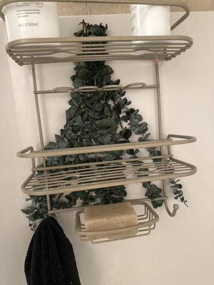 10 Pcs Dried Eucalyptus Stems 17" Real Eucalyptus for Shower Hanging - 100% Made from Fresh Eucalyptus Stems, Bathroom Decor Home Decor Wedding, Home, Farmhouse, DIY Spring Decor