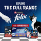 FELIX As Good As It Looks Favourites Selection in Jelly – 40 x 85g