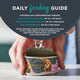 Encore 100% Natural Adult Wet Cat Food – Chicken & Fish Selection in Broth – 48 x 70g Tins